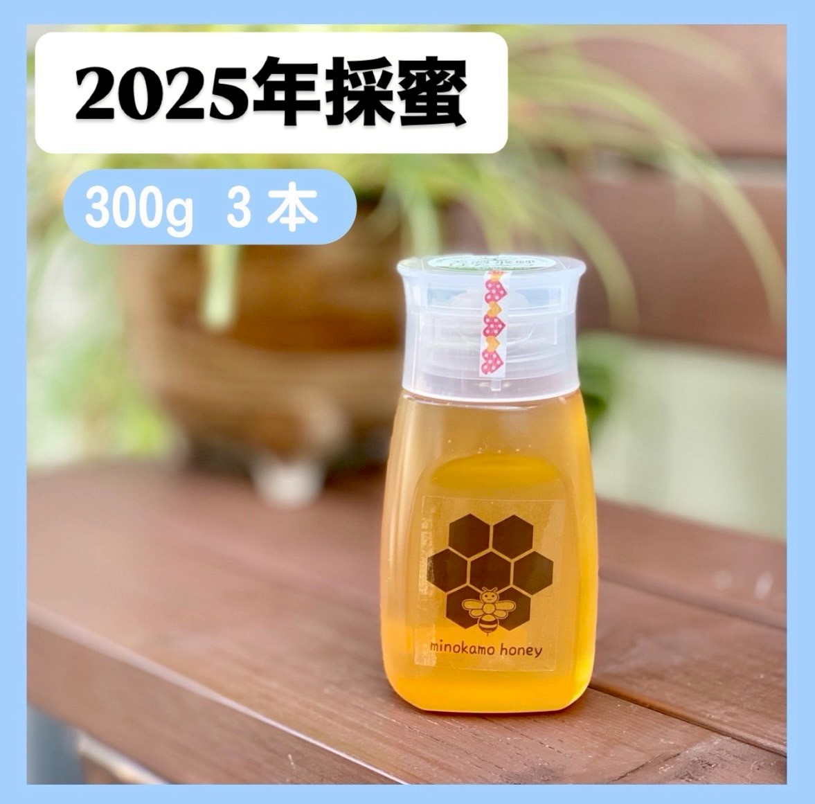 MINOKAMO HONEY 300g 3本 | 藤井養蜂