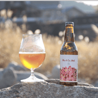 Kan&Co.IPA   かんこうIPA（瓶３本）