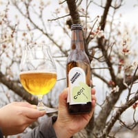 C-001  -BRUT IPA-（瓶３本セット）