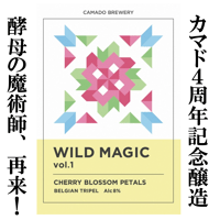 WILD MAGIC Vol.1　3本