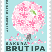 SAKURA BRUT IPA　3本セット
