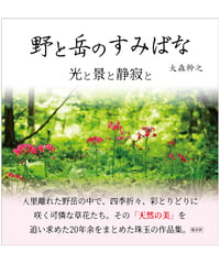 野と岳のすみばな