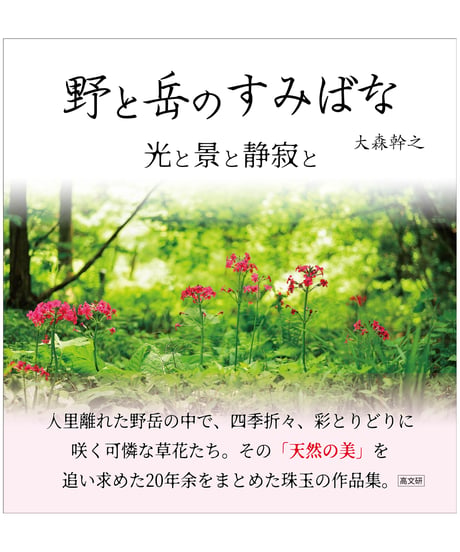 野と岳のすみばな