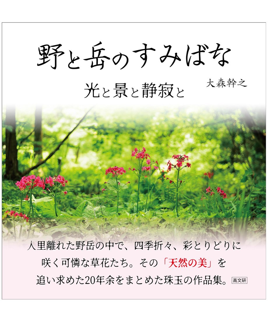 64ed4dd4835a67002deb6083