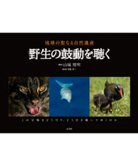 琉球の聖なる自然遺産　　野生の鼓動を聴く