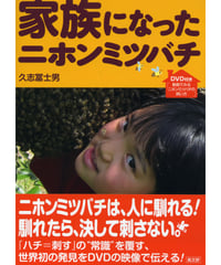 家族になったニホンミツバチ
