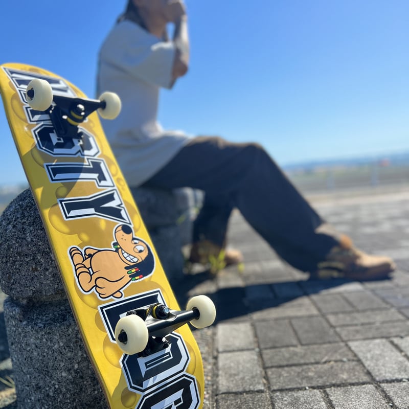 Nastydog スケートボード 【公式通販】
