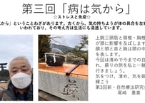 第3回 新・自然療法研究会「病は気から-ストレスと免疫」 資料