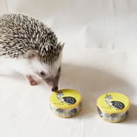 マスキングテープ