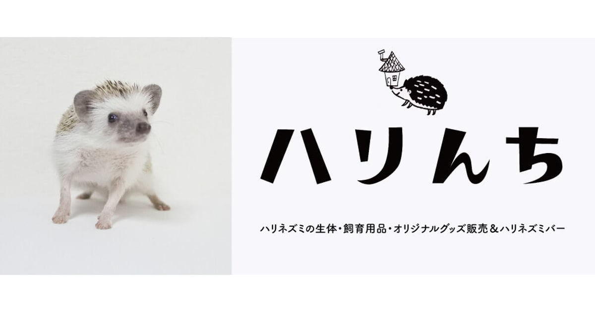 ミニ紙袋(栄養ドリンク用)-ハリネズミ 20枚 ハリんち