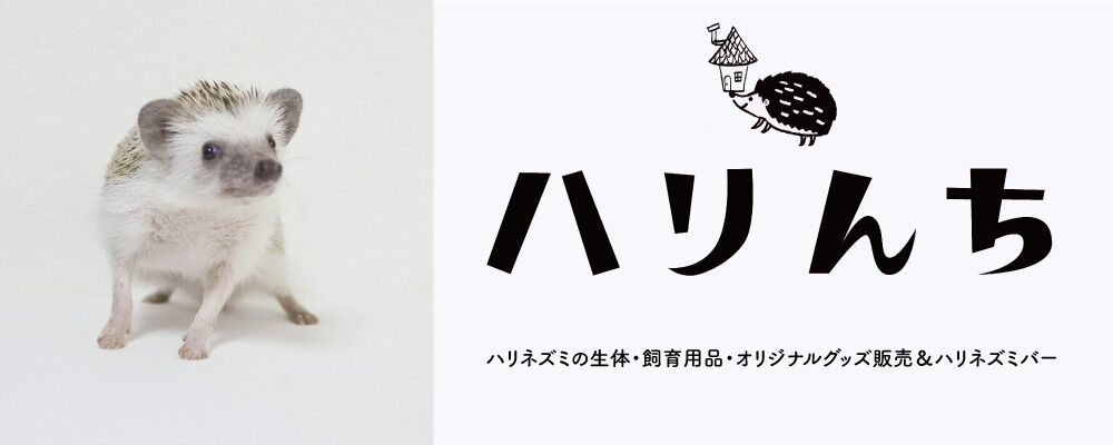 ハリんち