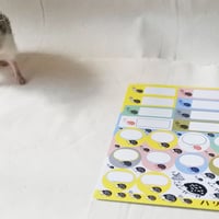 シールセット