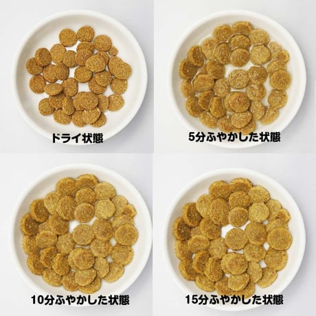 ハリネズミレシピ 300g