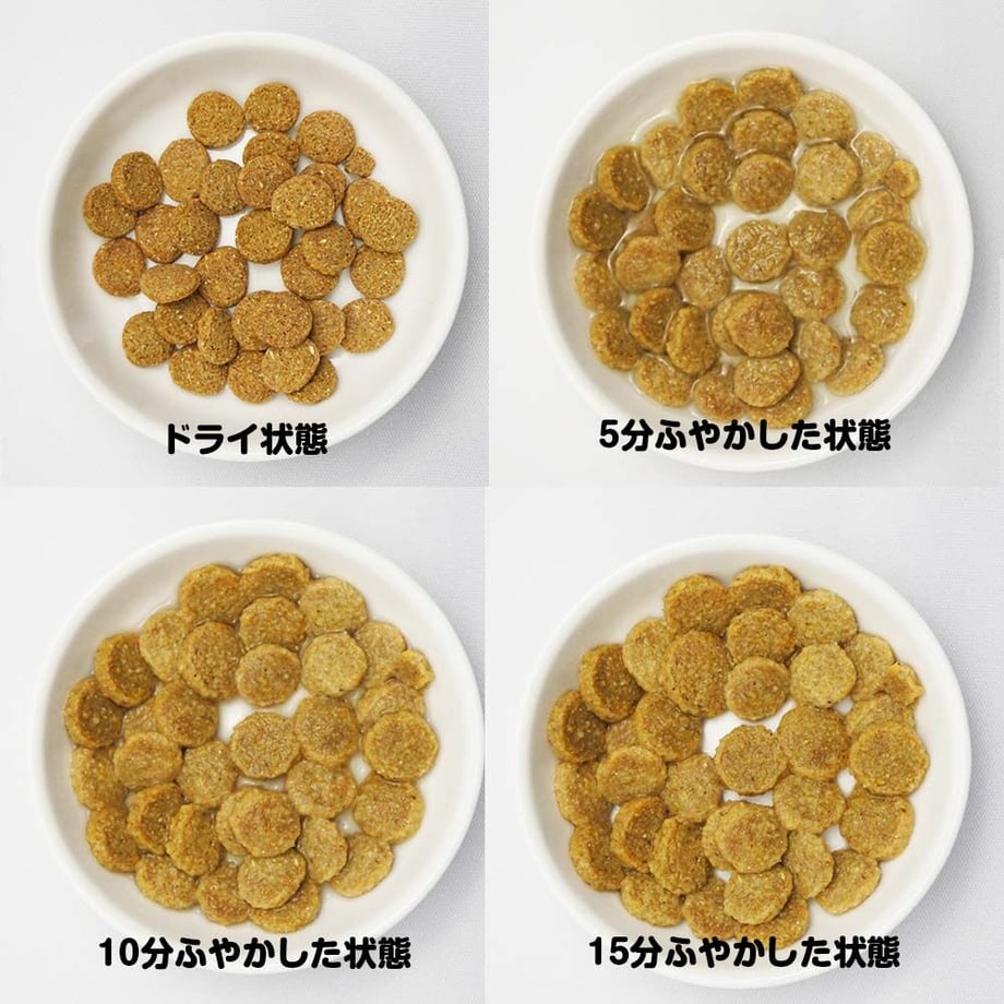 5f731d82fbe5b50aaea885ca