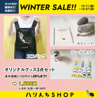 【年末セール】オリジナルグッズ3点セット