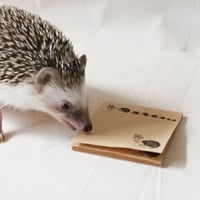 ふせん