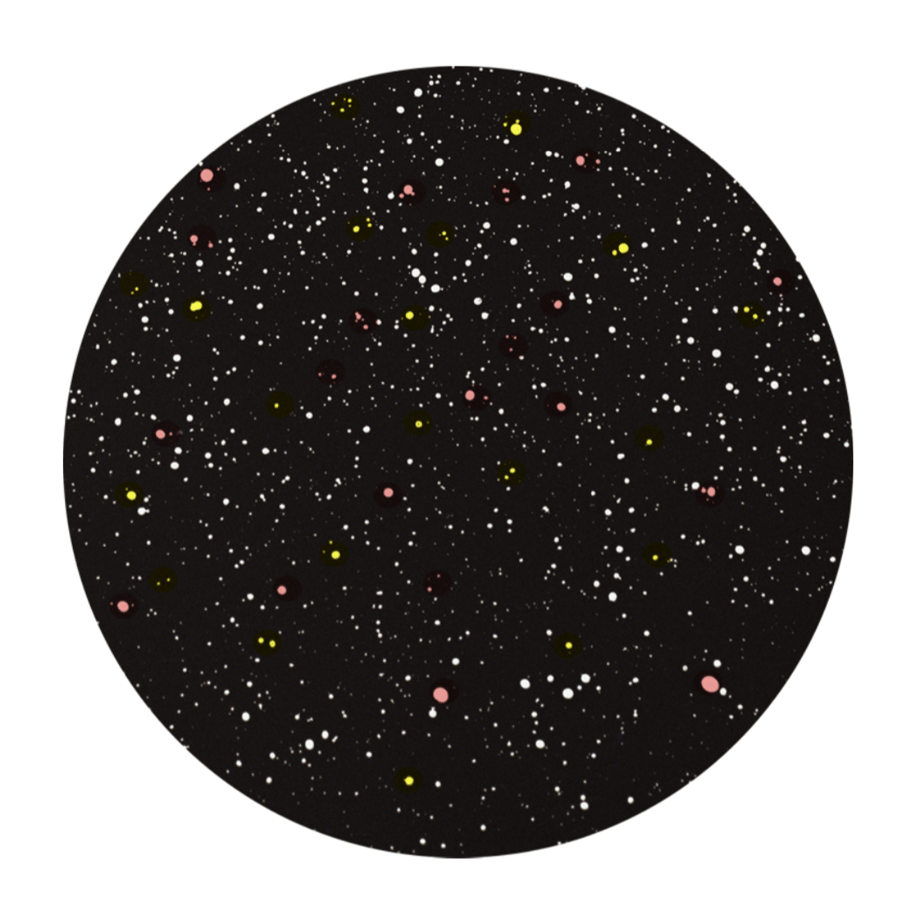 5f447fd4223ead4208e7c2c8