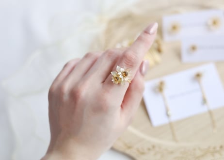 " Little Gleam " ring (11号フリー)