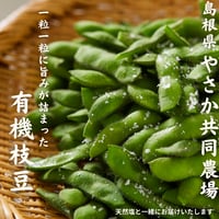 一粒一粒に旨みが詰まった、やさかの有機枝豆セット[送料無料]