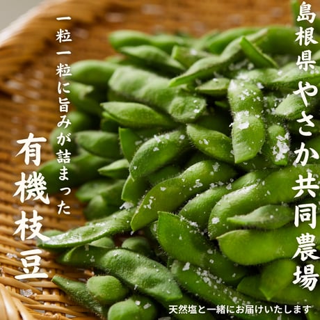 一粒一粒に旨みが詰まった、やさかの有機枝豆セット[送料無料]
