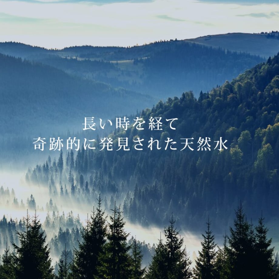 66569e8f2b412d036fa74d80