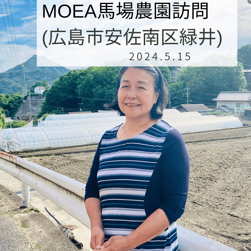 有機野菜お宝BOX | オーガニックの台所