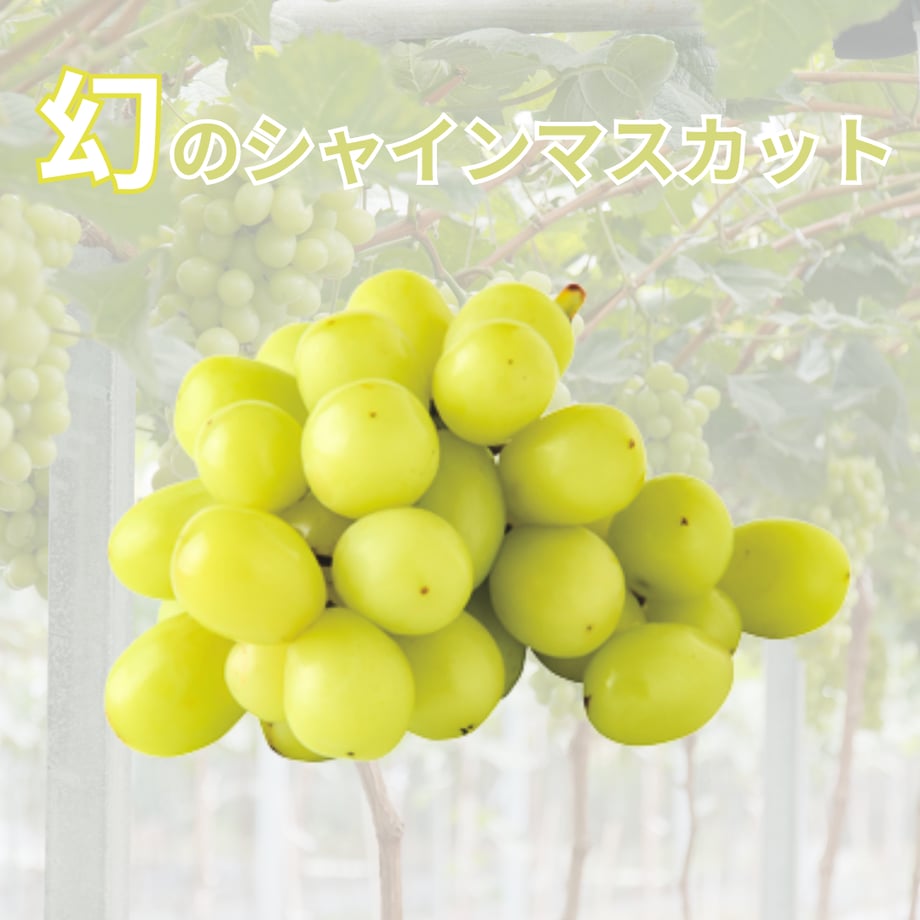 68b941c04be9ef346f55745f