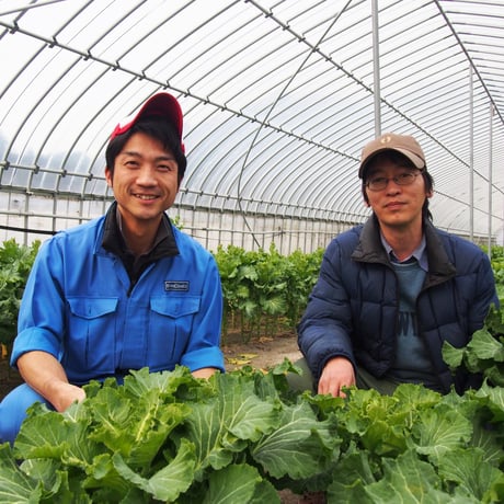 【毎週】有機野菜お宝BOX Sサイズ（葉物中心5～6品）