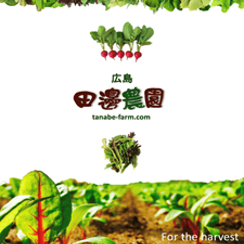 お野菜です！ 楽天市場】【機能性表示食品】栄養強化型 1日分の野菜 紙パック