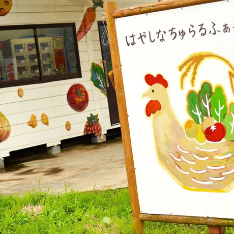 はやしなちゅらるふぁーむさんの有機卵3パックセット＜6個×３パック＞