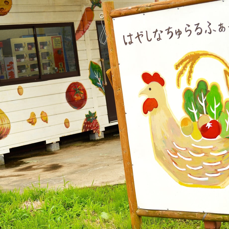 69d5f9393b49381b755a6c13