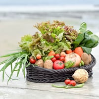 有機野菜お宝BOX Lサイズ（葉物＋根菜で10～12品）