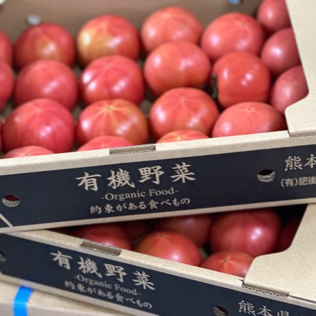 有機野菜お宝BOX