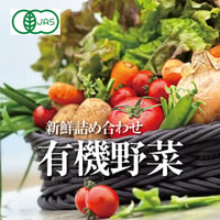【毎週】有機野菜お宝BOX Sサイズ（葉物中心5～6品）