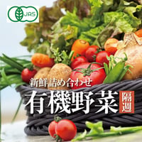 【隔週】有機野菜お宝BOX Mサイズ（葉物＋根菜で7～9品）