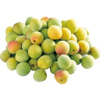 【予約受付中！】有機青梅（梅干し用）2kg～5kg