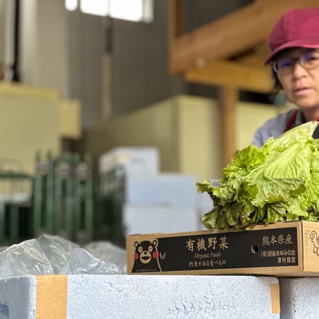 有機野菜お宝BOX
