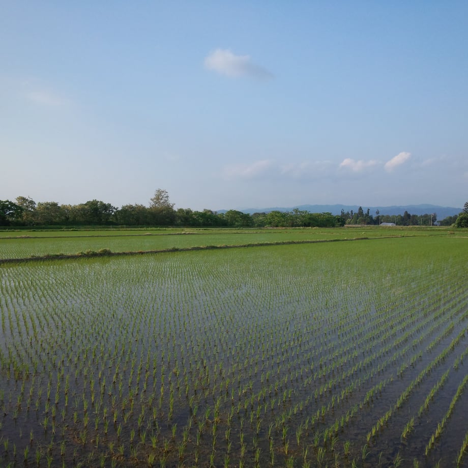651e06daf3e168016af762bd