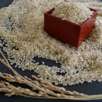 7年産山形県産特別栽培米　つや姫　玄米　5㎏