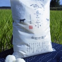7年産山形県産特別栽培米　ひとめぼれ5㎏