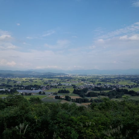 7年産山形県産特別栽培米　ひとめぼれ5㎏