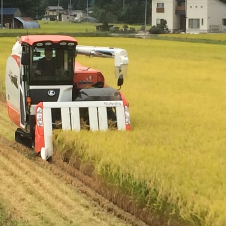 山形県産特別栽培米つや姫1等20㎏玄米
