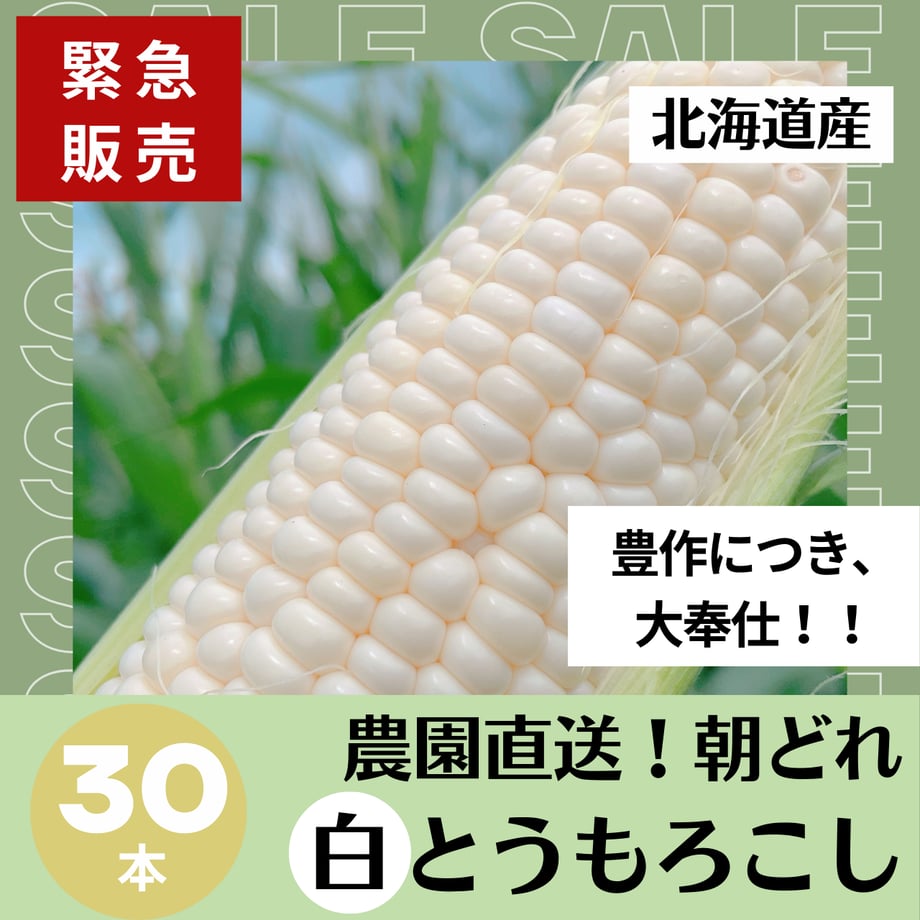 66c32c85827c020730467388