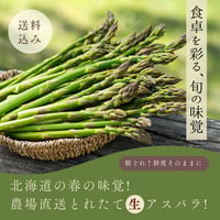 【2026年新物入荷】北海道の春の味！春の恵で栄養たっぷりアスパラ！L/M900g（送料込み）