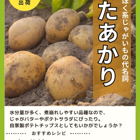 【農場直送】ふじい農場秋野菜セット