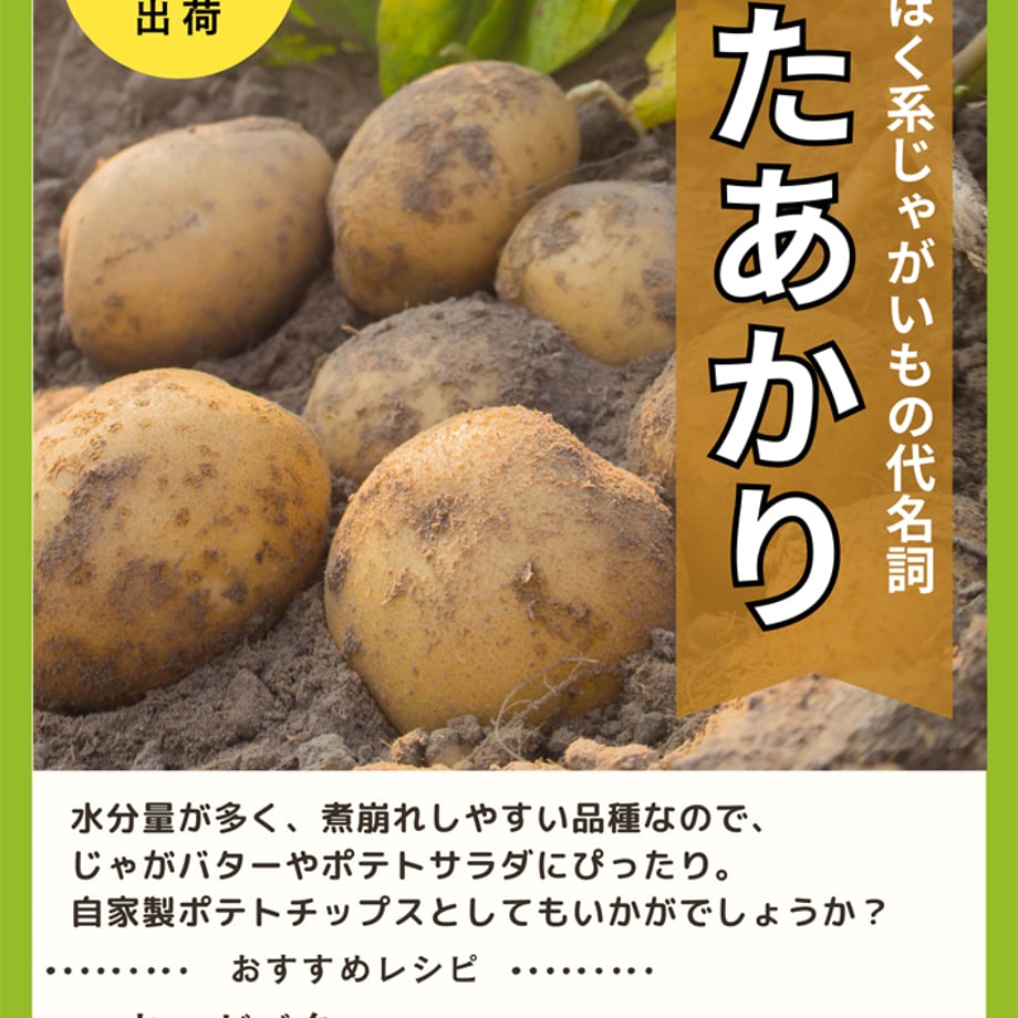 6556377d1d03e90944ddd194