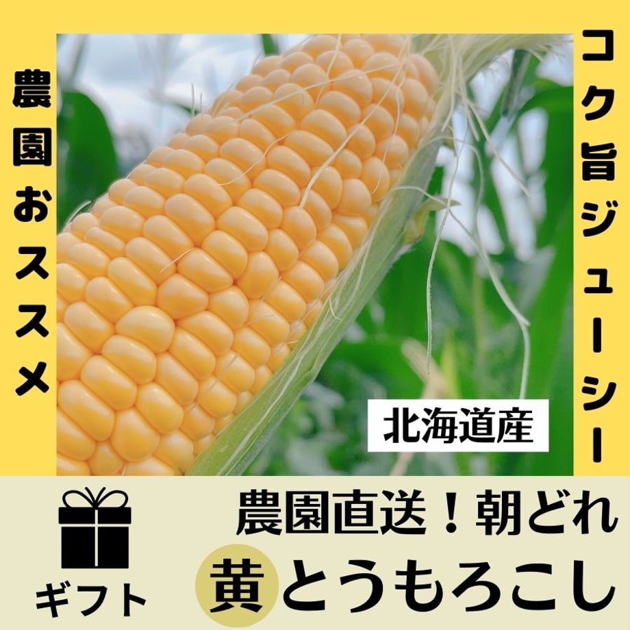 66aa5122df6a590a6ab64ebe