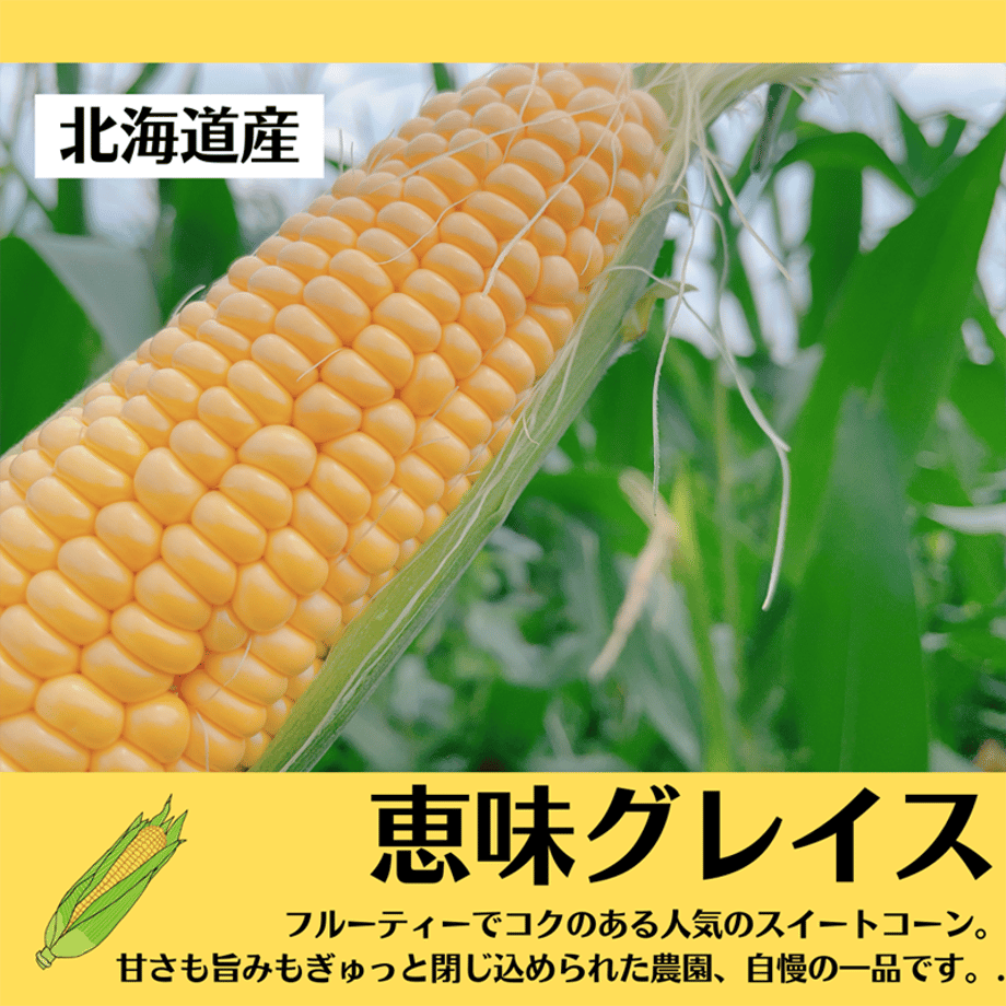 64fd97f6d9444413648a5baf