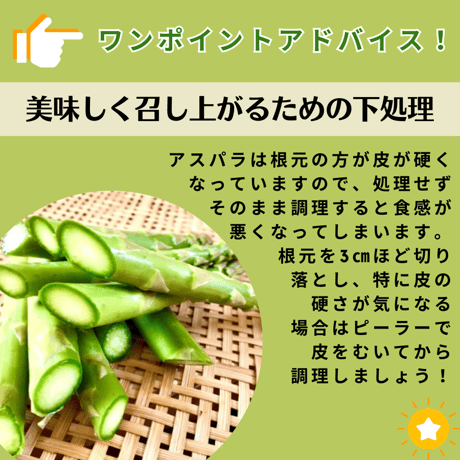 【2026年新物入荷】北海道の春の味！春の恵で栄養たっぷりアスパラ！L900g（送料込み）