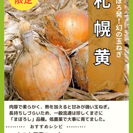 【農場直送】ふじい農場秋野菜セット
